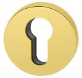 Накладка под цилиндр на круглом основании COLOMBO CD43GB-OL полированная латунь (2 шт)